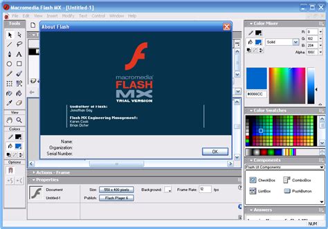 Macromedia flash plugin version 6